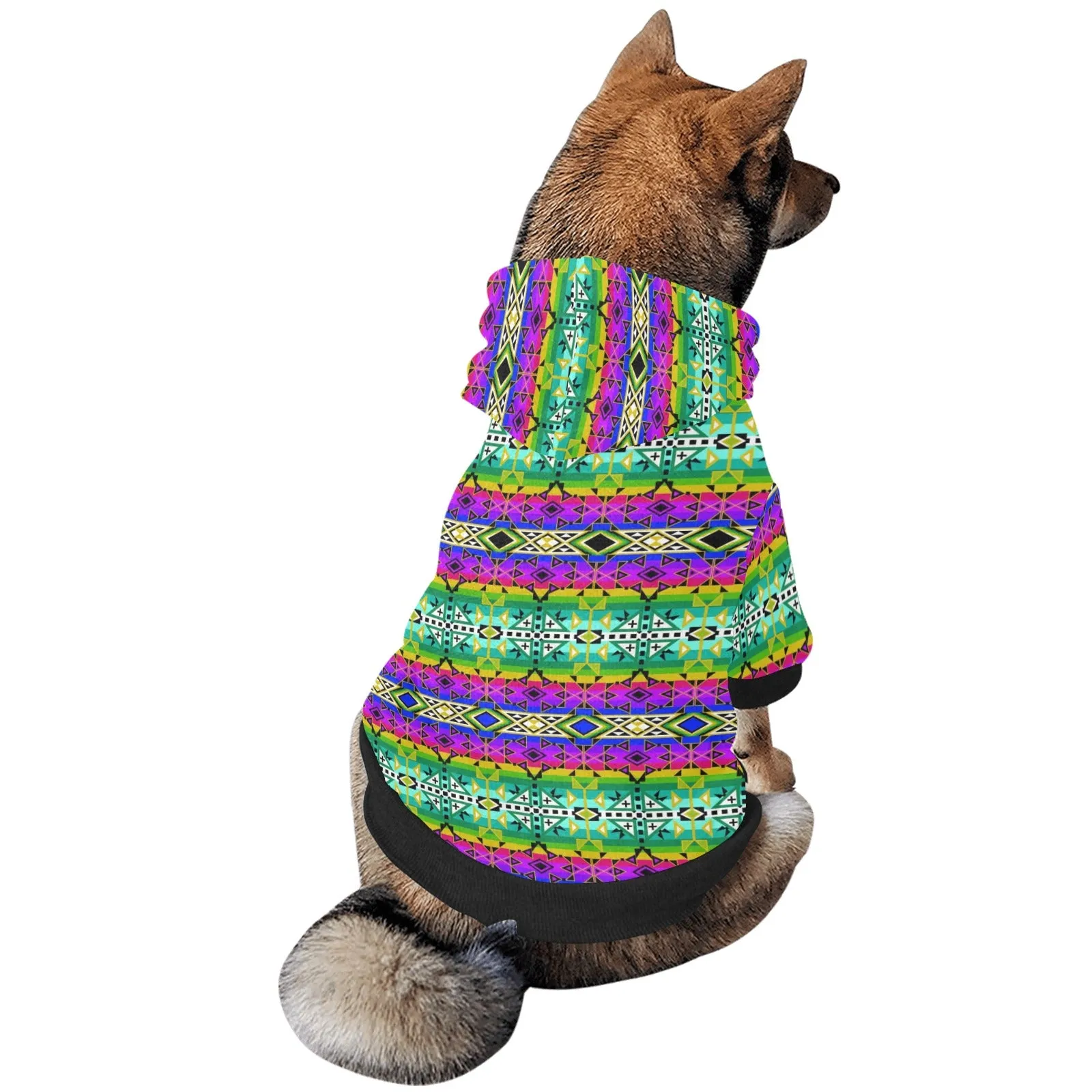 After the Northwest Rain Pet Dog Hoodie