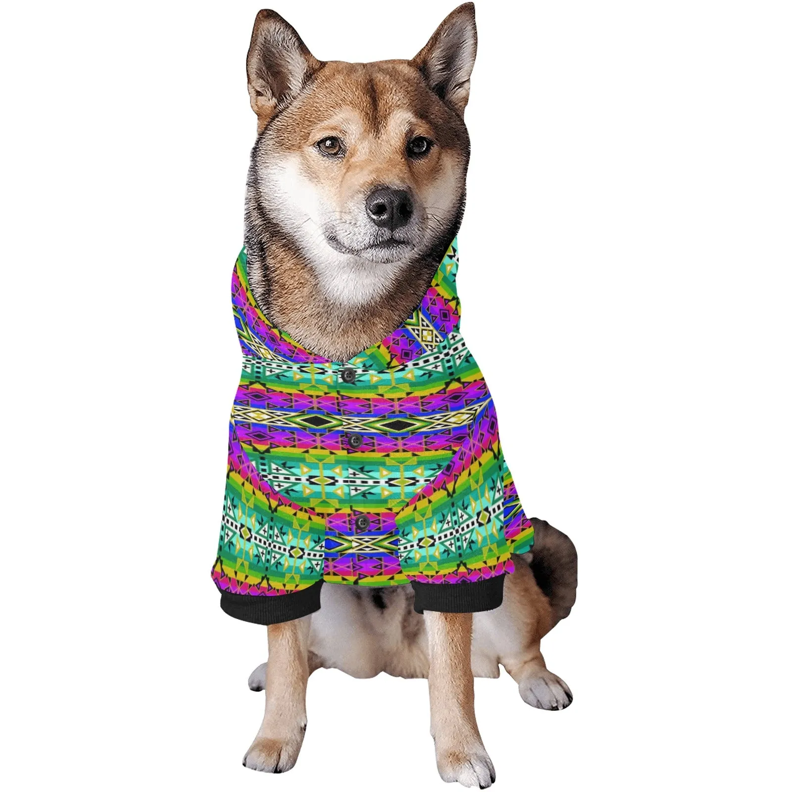 After the Northwest Rain Pet Dog Hoodie