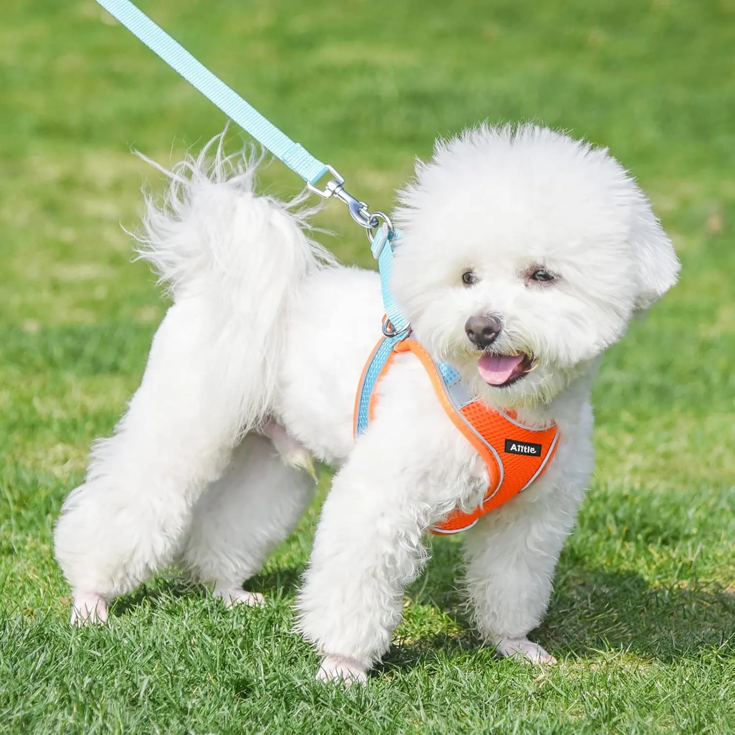 AIITLE Escape Proof Dog Harness - Step in Adjustable Dog Harness No Choke Over with Breathable Mesh and Quick-Release Buckle for Spring- Outdoor Walking, Camping, Training for Medium Dogs Orange XL