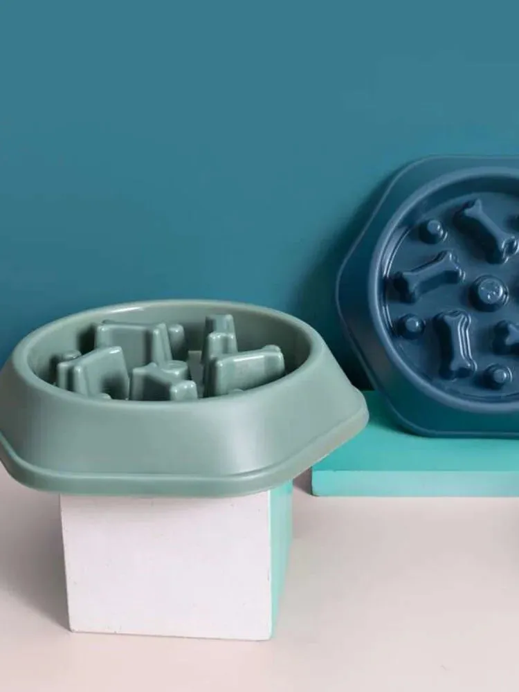 Anti-Choking Dog Feeder - Slow Feed Dish Bowl