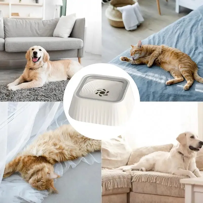 Anti-Spill Pet Water Fountain with Slow Drinking Feature and Removable Filter
