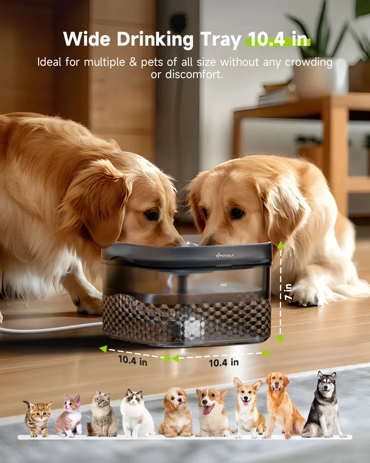 APETDOLA Large Capacity Pet Water Fountain - Ultra-Quiet Pump, Ideal for Multi-Pet Households
