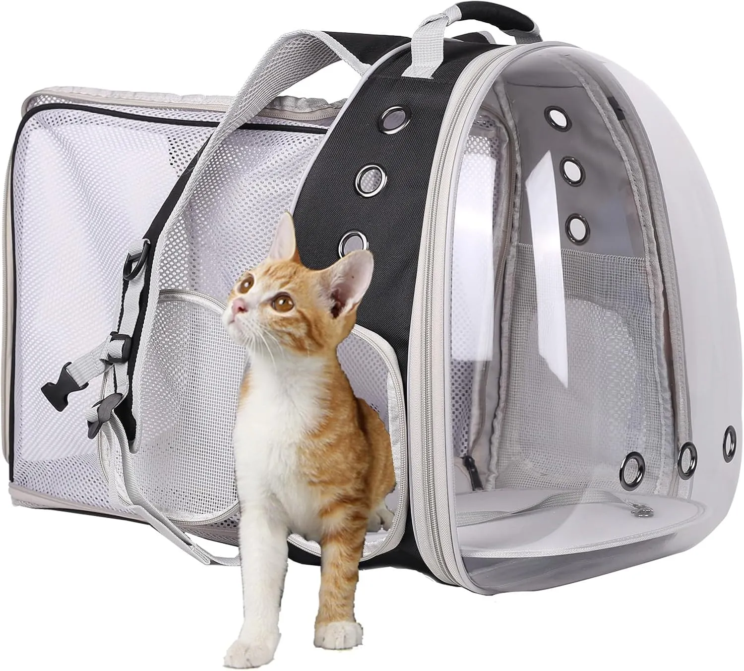 Back Extension Pet Backpack Carrier for Cat and Small Puppy up to 13 Pounds, Clear Space Capsule Astronaut Transparent Bubble Window Backpack to Carry and Transport Cat to Vet and Traveling