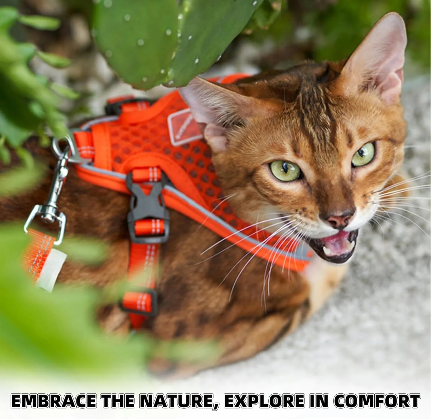Cat Harness and Leash Set for Comfortable Outdoor Walking, Escape Proof, Adjustable Soft Kitten Vest Harness with Reflective Strip for Cats, Small Dogs (Black, S)
