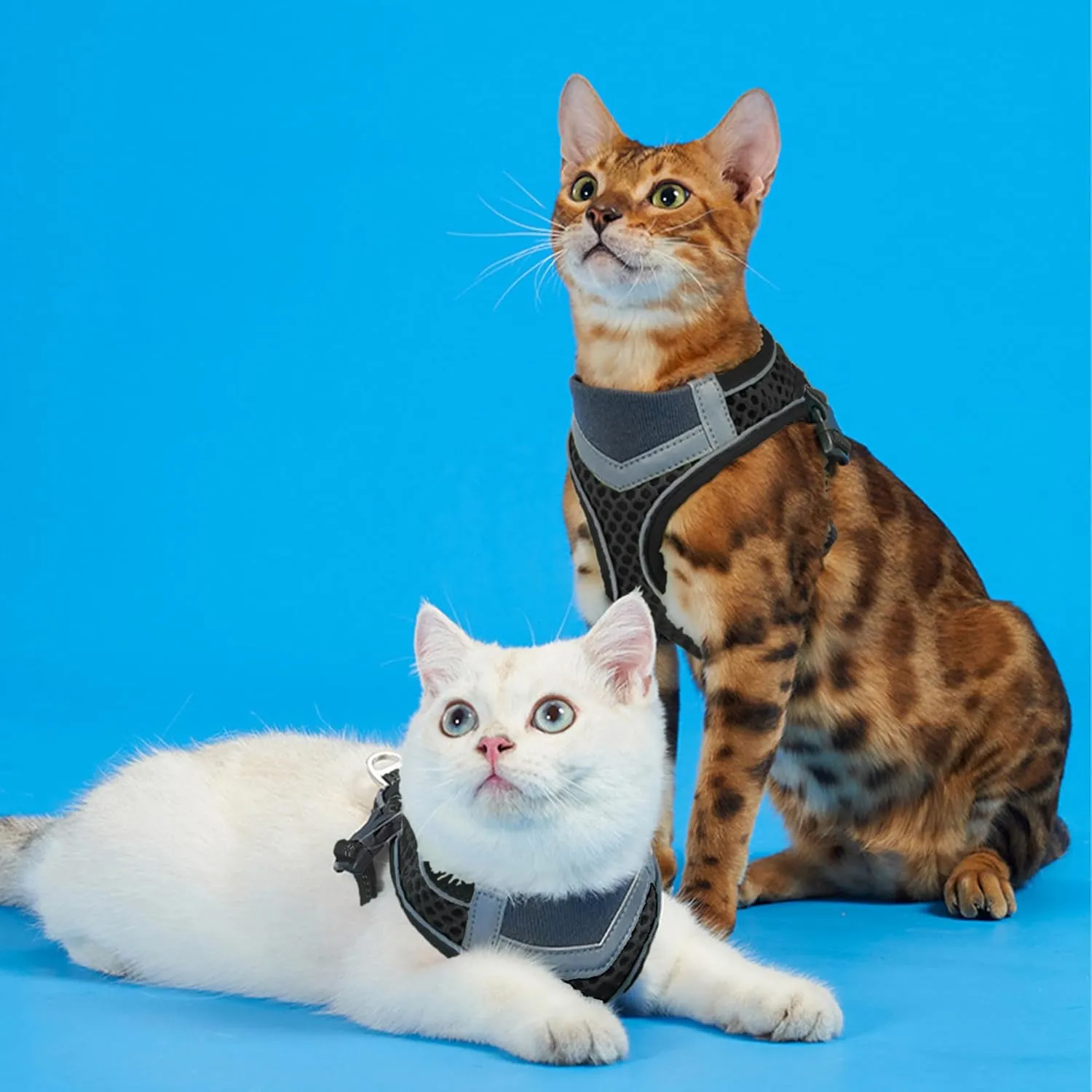 Cat Harness and Leash Set for Comfortable Outdoor Walking, Escape Proof, Adjustable Soft Kitten Vest Harness with Reflective Strip for Cats, Small Dogs (Black, S)
