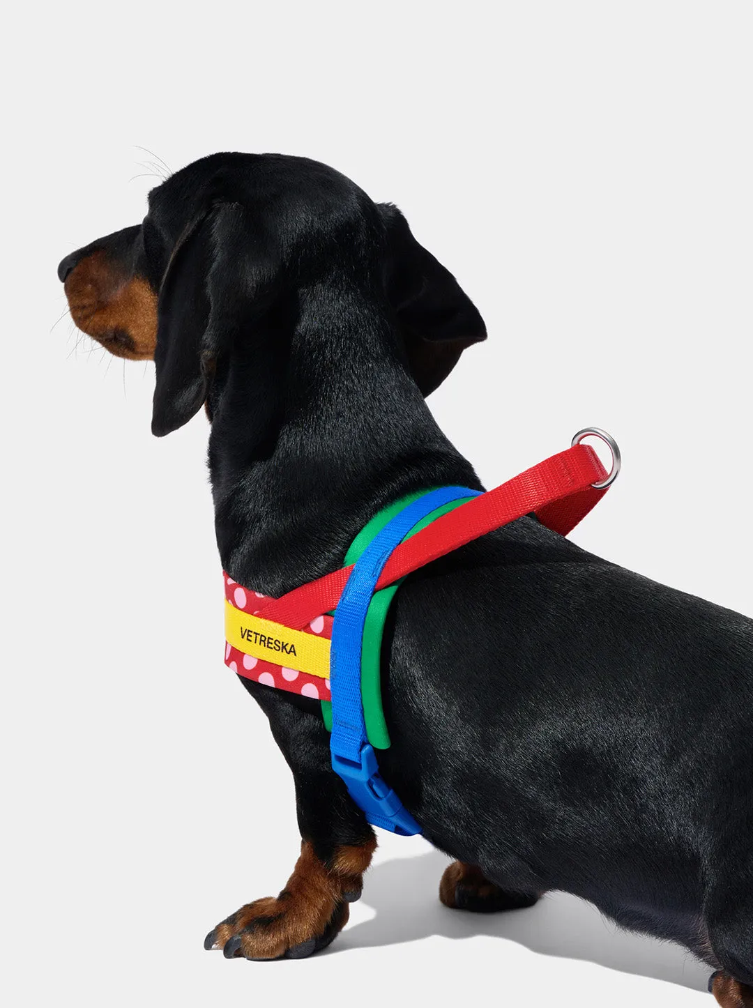 Chroma Pet Harness & Leash Set (Red)