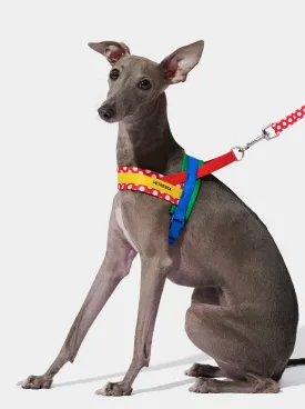 Chroma Pet Harness & Leash Set (Red)