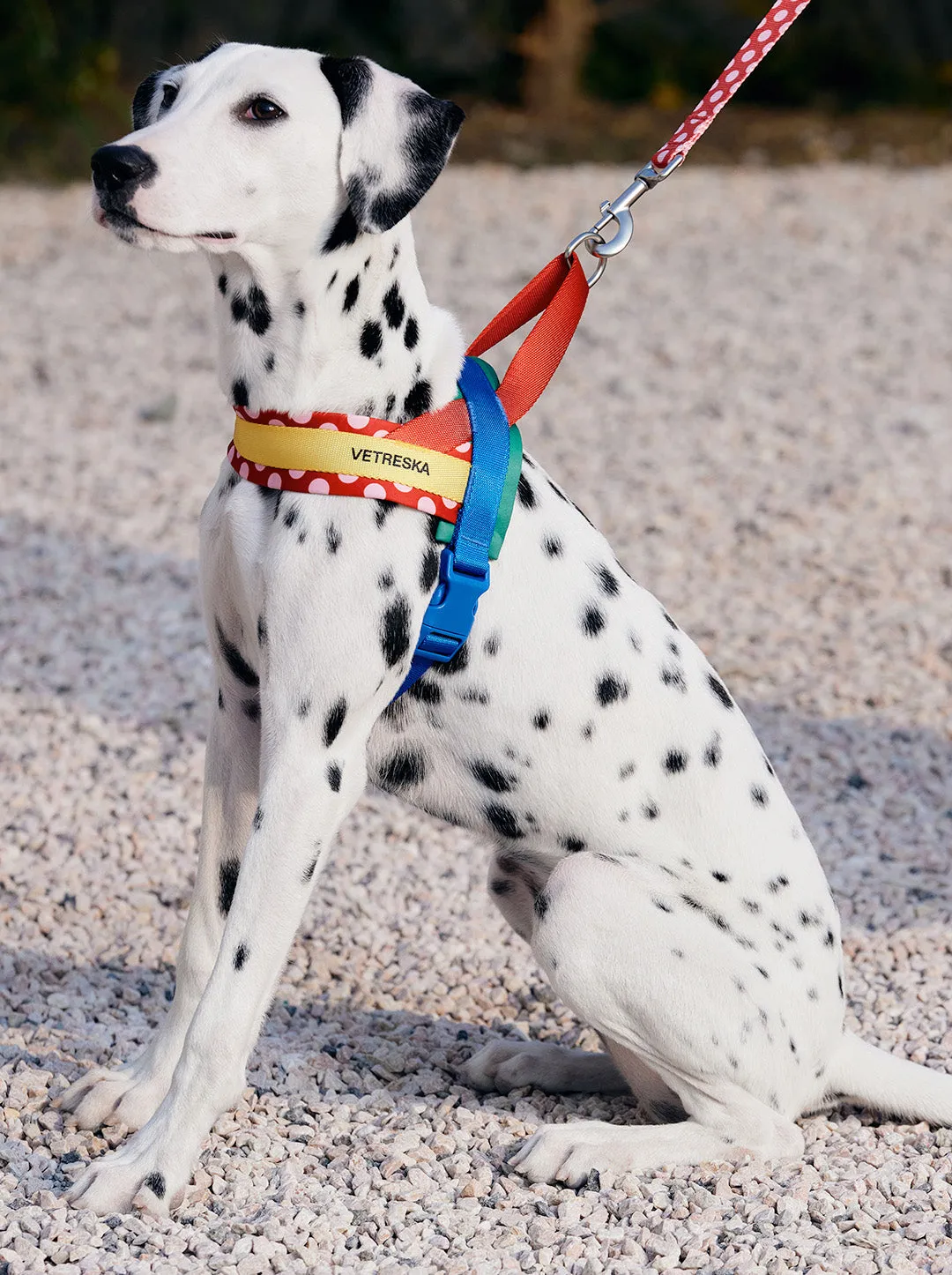 Chroma Pet Harness & Leash Set (Red)