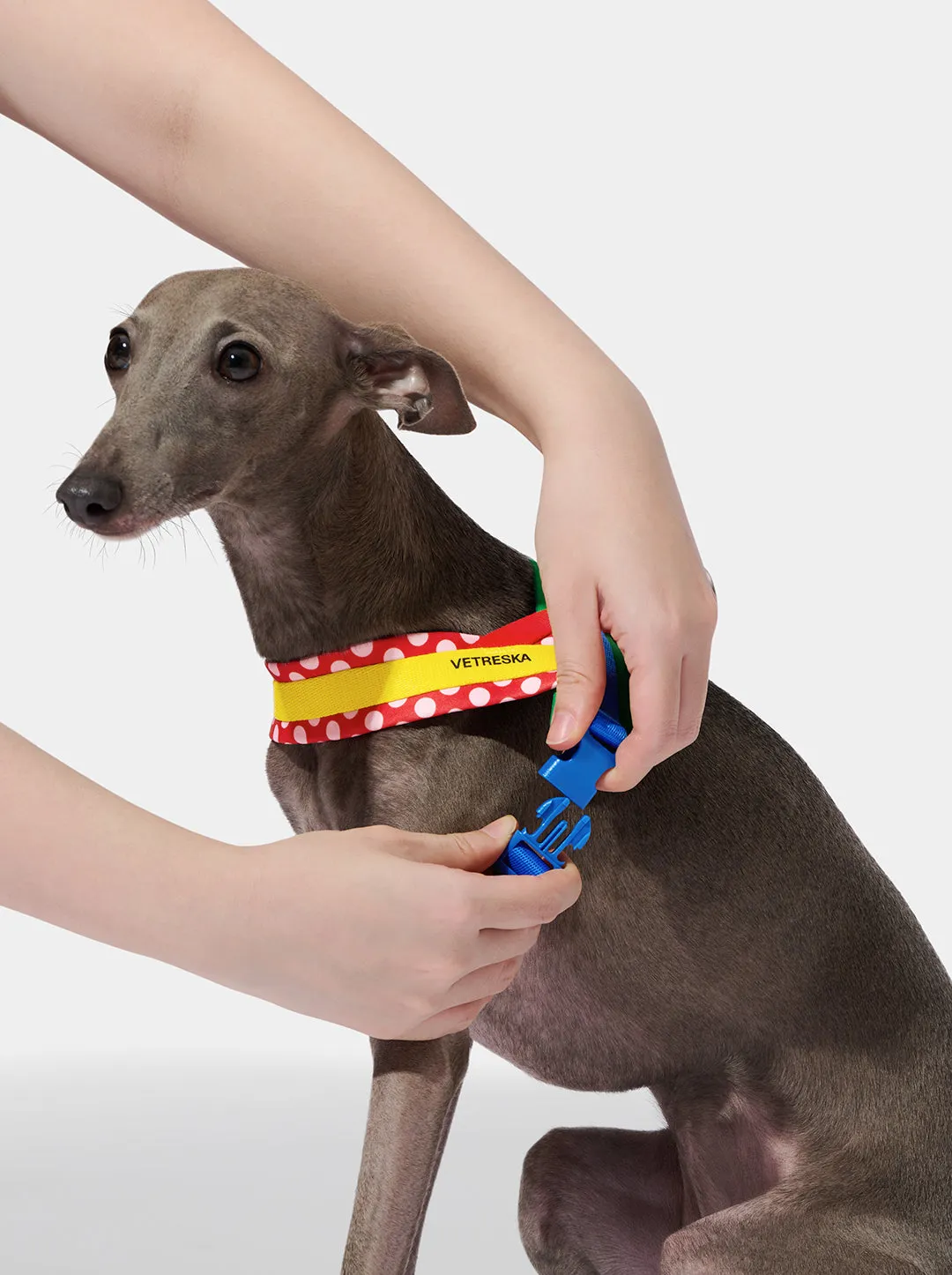 Chroma Pet Harness & Leash Set (Red)