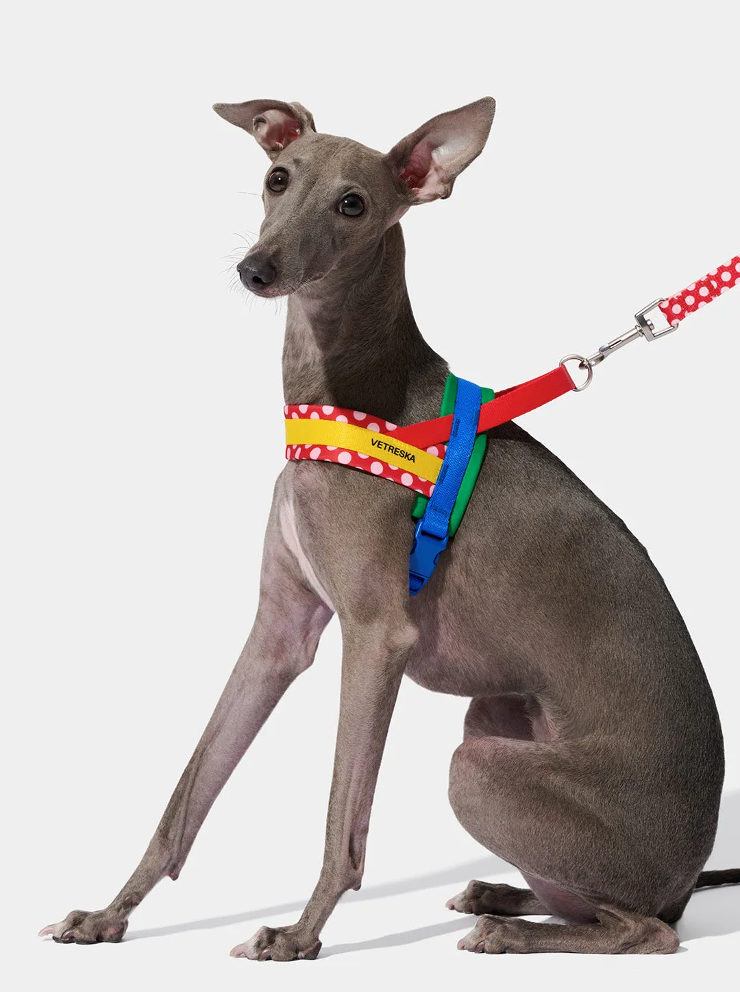 Chroma Pet Harness & Leash Set (Red)