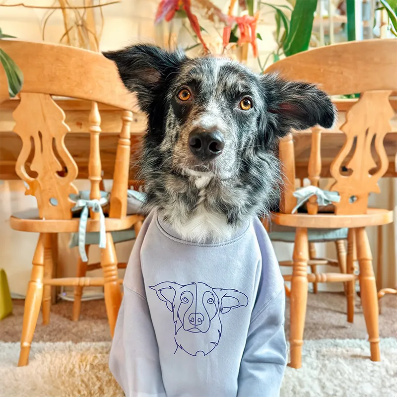 Custom Embroidered Sweatshirt Embroidered Hoodie Gifts For Pet