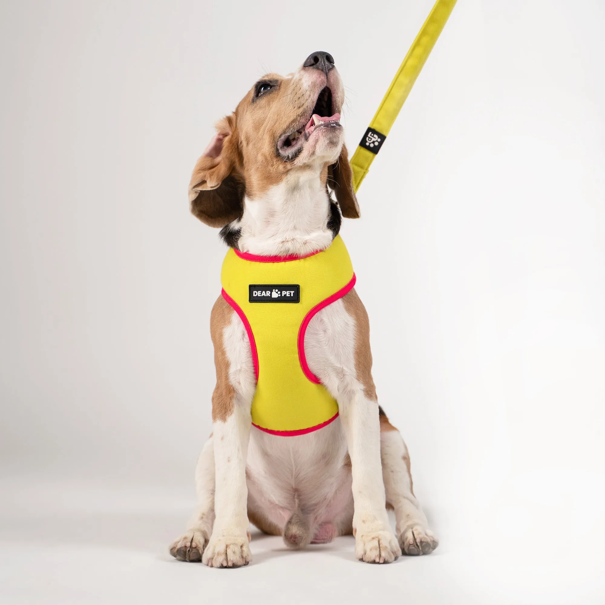 Dear Pet Double Trouble Lime & Pink Harness for Dogs