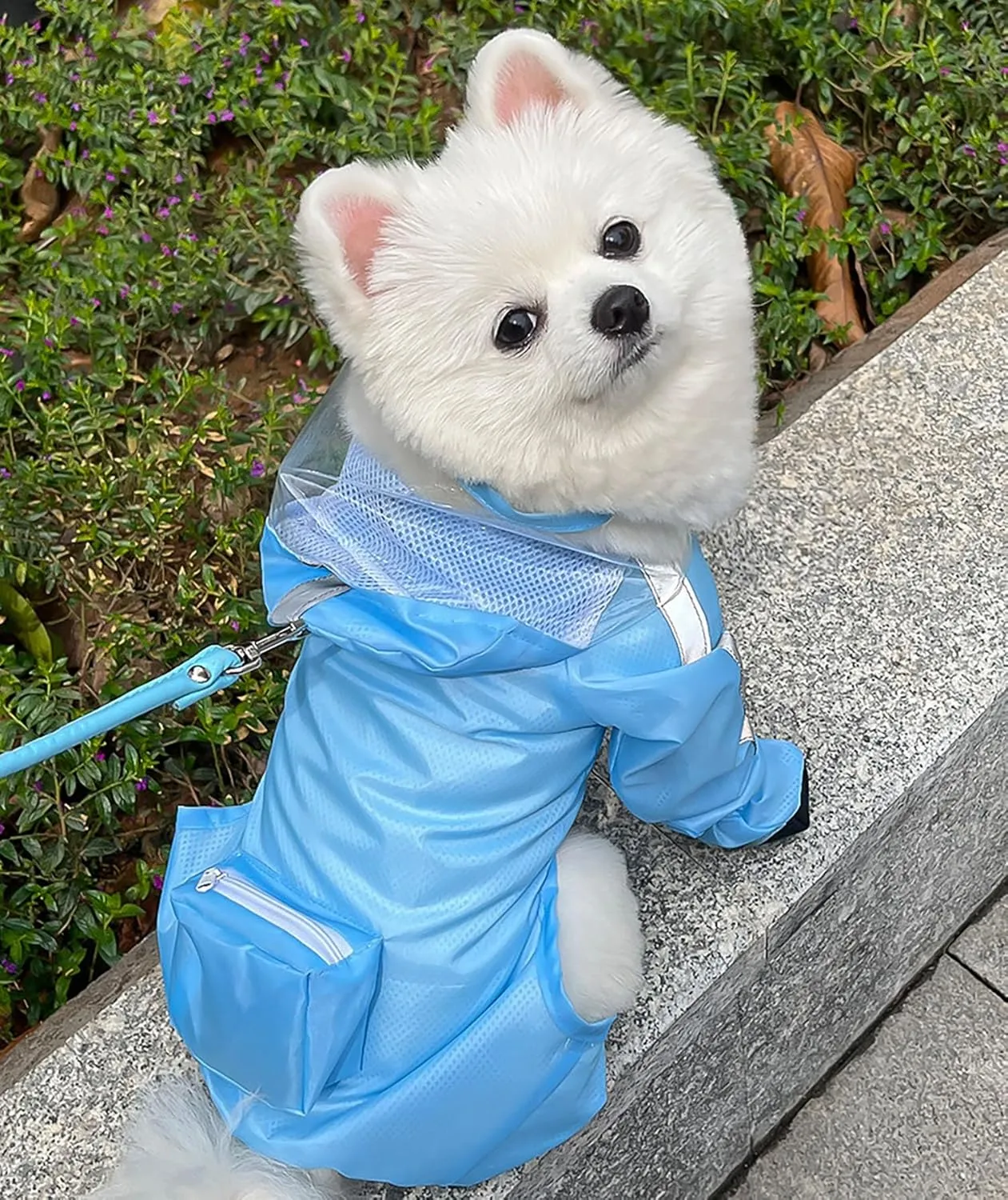 Dog Raincoat with Hood, Waterproof Full-Coverage Reflective Rain Jacket with Leash Quick-Drying Rain Poncho and Shoes for Small Medium Large Dogs,Blue,S