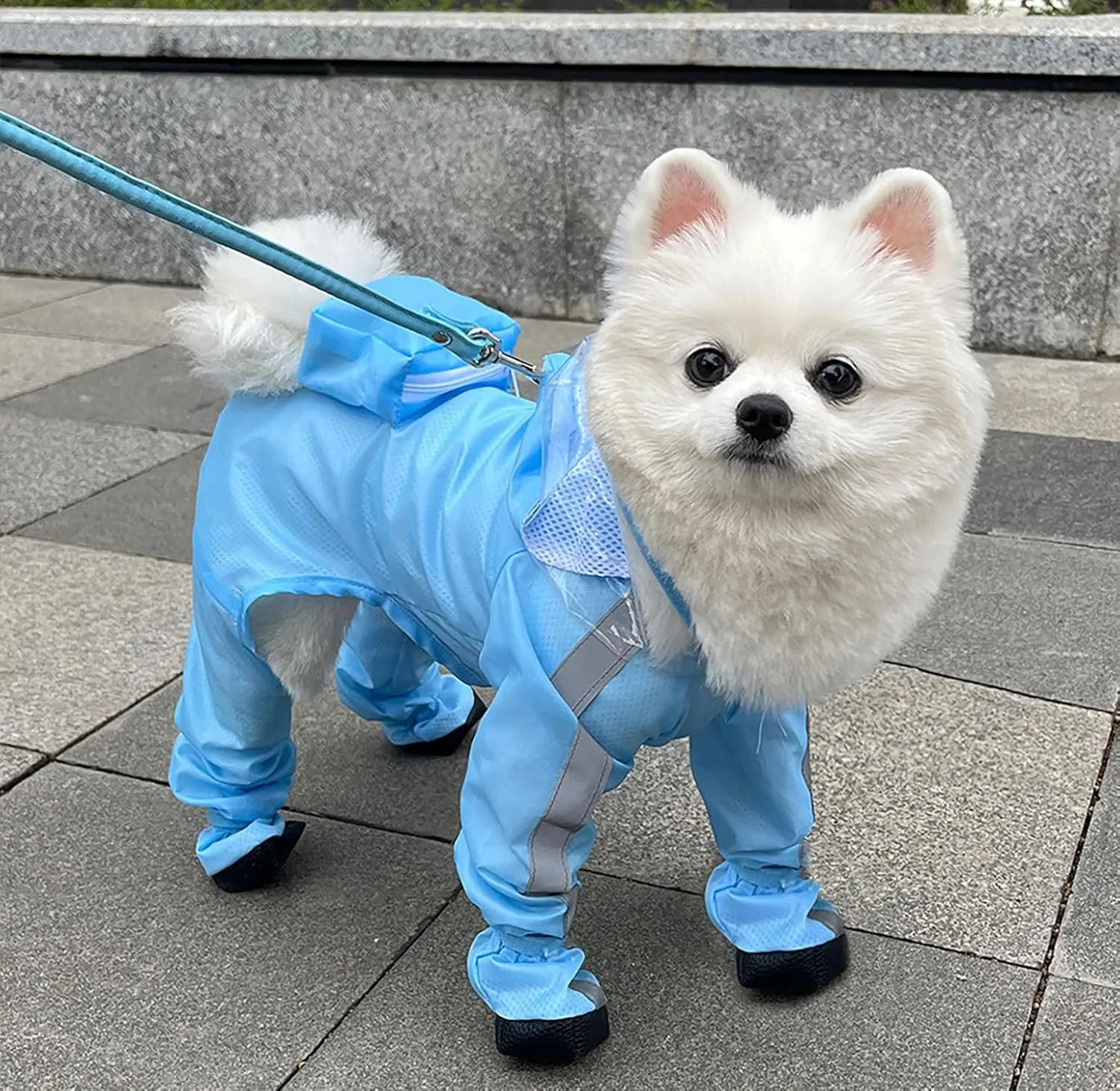 Dog Raincoat with Hood, Waterproof Full-Coverage Reflective Rain Jacket with Leash Quick-Drying Rain Poncho and Shoes for Small Medium Large Dogs,Blue,S