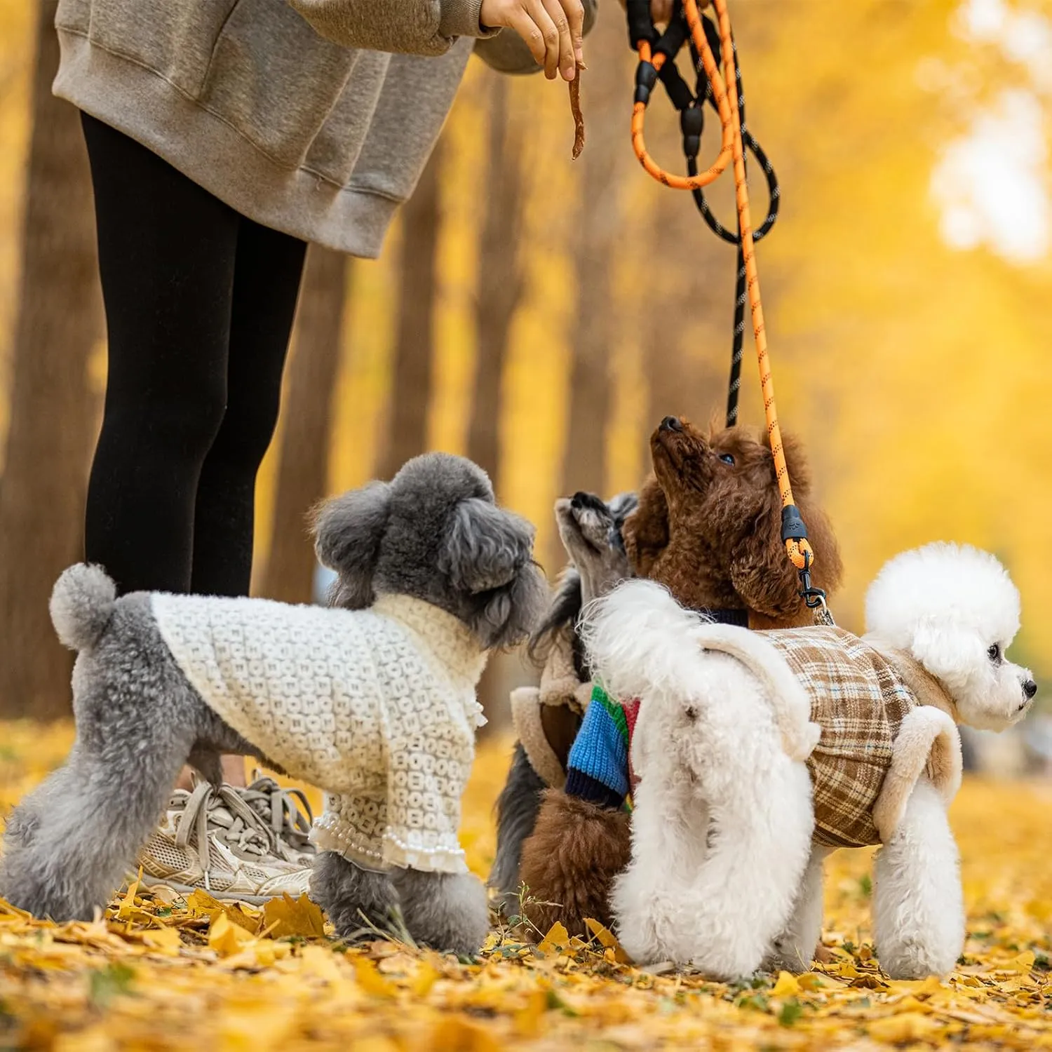 Dog Sweater for Medium to Large Dogs, Girl Soft Winter Knit Pet Clothes with Faux Pearl and Lace Pullover Warm Dog Outfit for Poodle, Elegant Apparel for Cold Weather XL