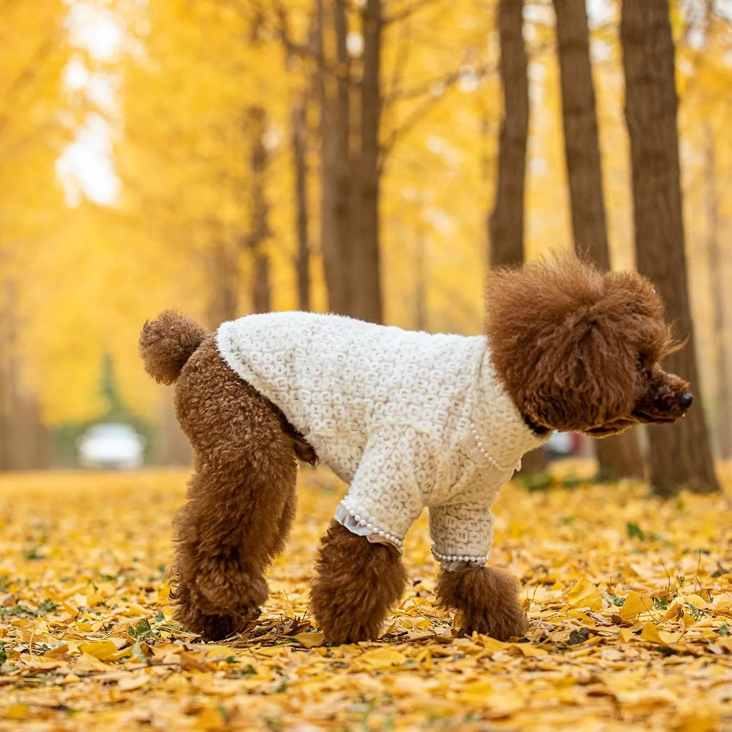 Dog Sweater for Medium to Large Dogs, Girl Soft Winter Knit Pet Clothes with Faux Pearl and Lace Pullover Warm Dog Outfit for Poodle, Elegant Apparel for Cold Weather XL