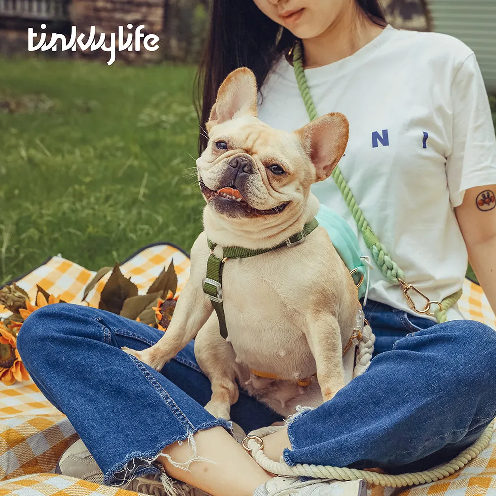 Fantastic Rainbow Easy Walk Harness