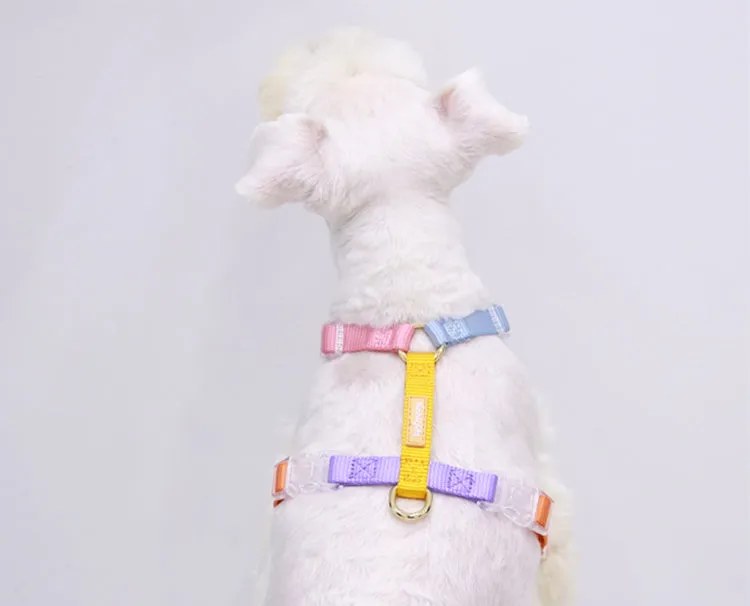 Fantastic Rainbow Easy Walk Harness