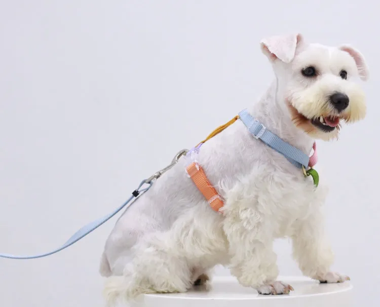 Fantastic Rainbow Easy Walk Harness