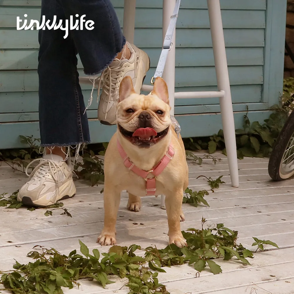 Fantastic Rainbow Easy Walk Harness