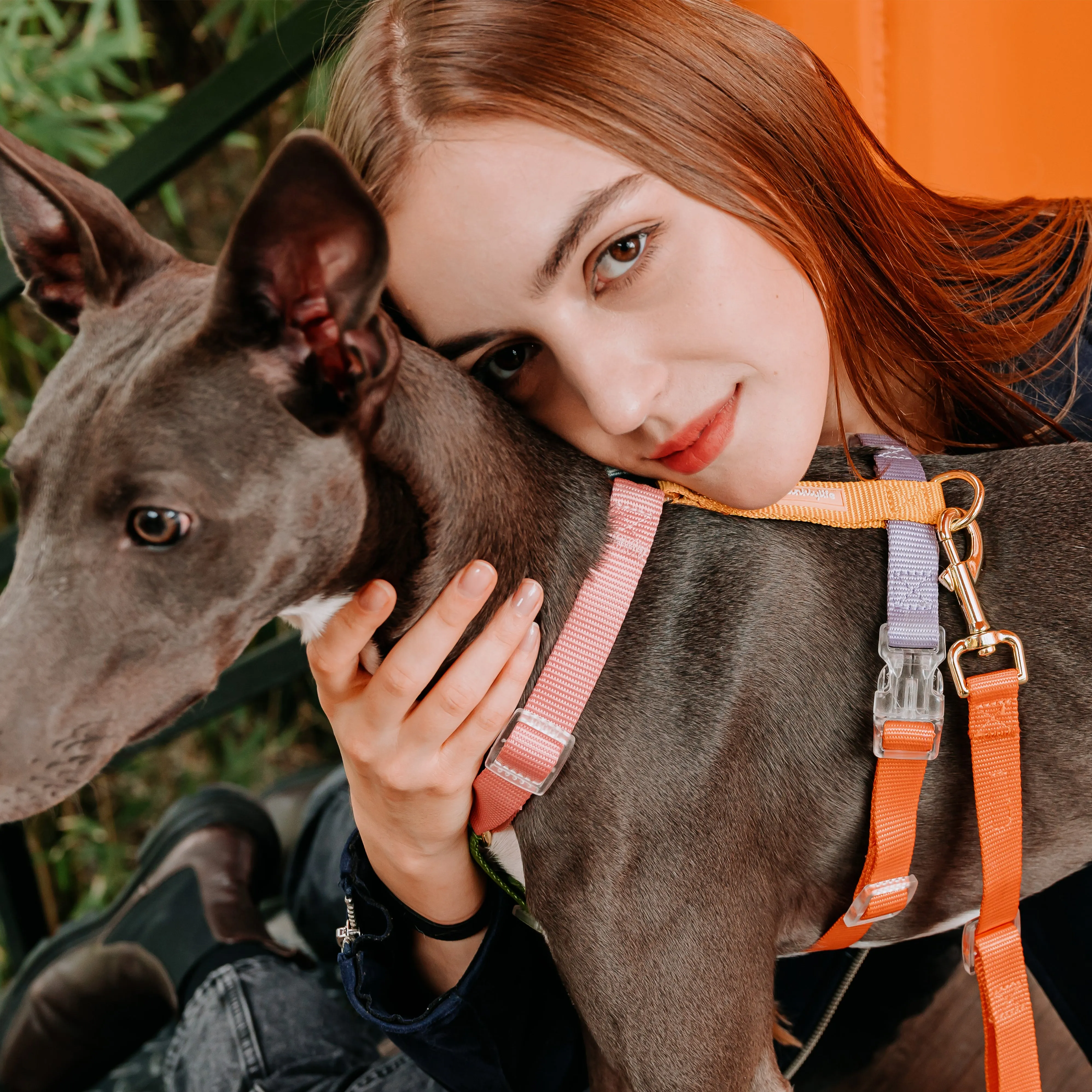 Fantastic Rainbow Easy Walk Harness