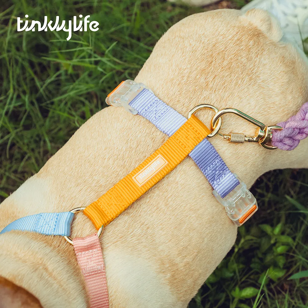 Fantastic Rainbow Easy Walk Harness