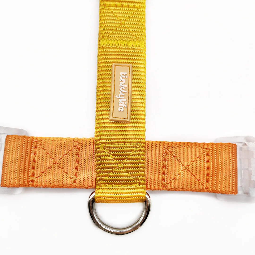 Fantastic Rainbow Easy Walk Harness