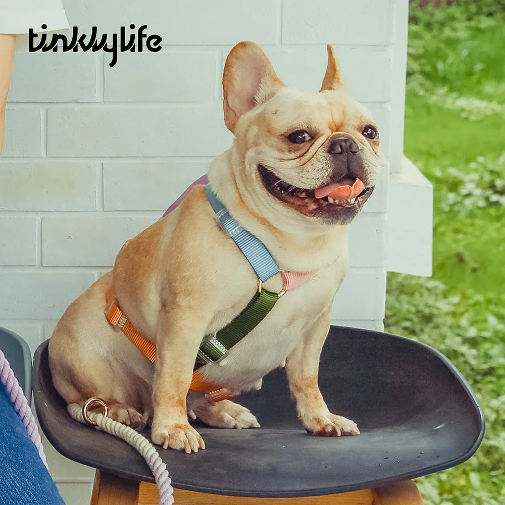 Fantastic Rainbow Easy Walk Harness