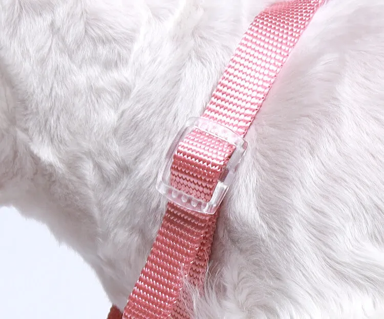 Fantastic Rainbow Easy Walk Harness