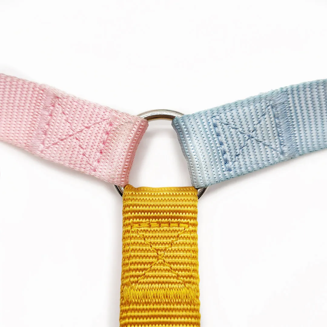 Fantastic Rainbow Easy Walk Harness