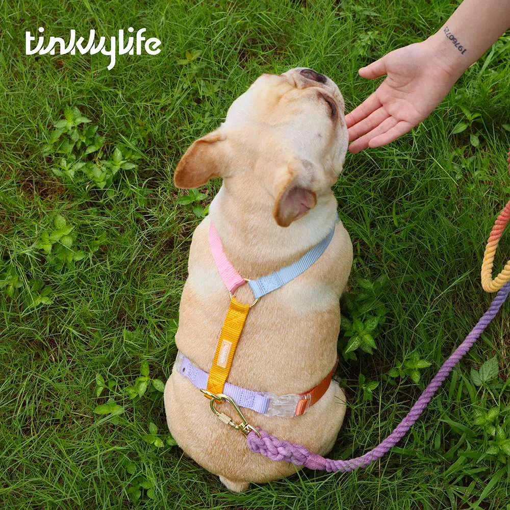 Fantastic Rainbow Easy Walk Harness