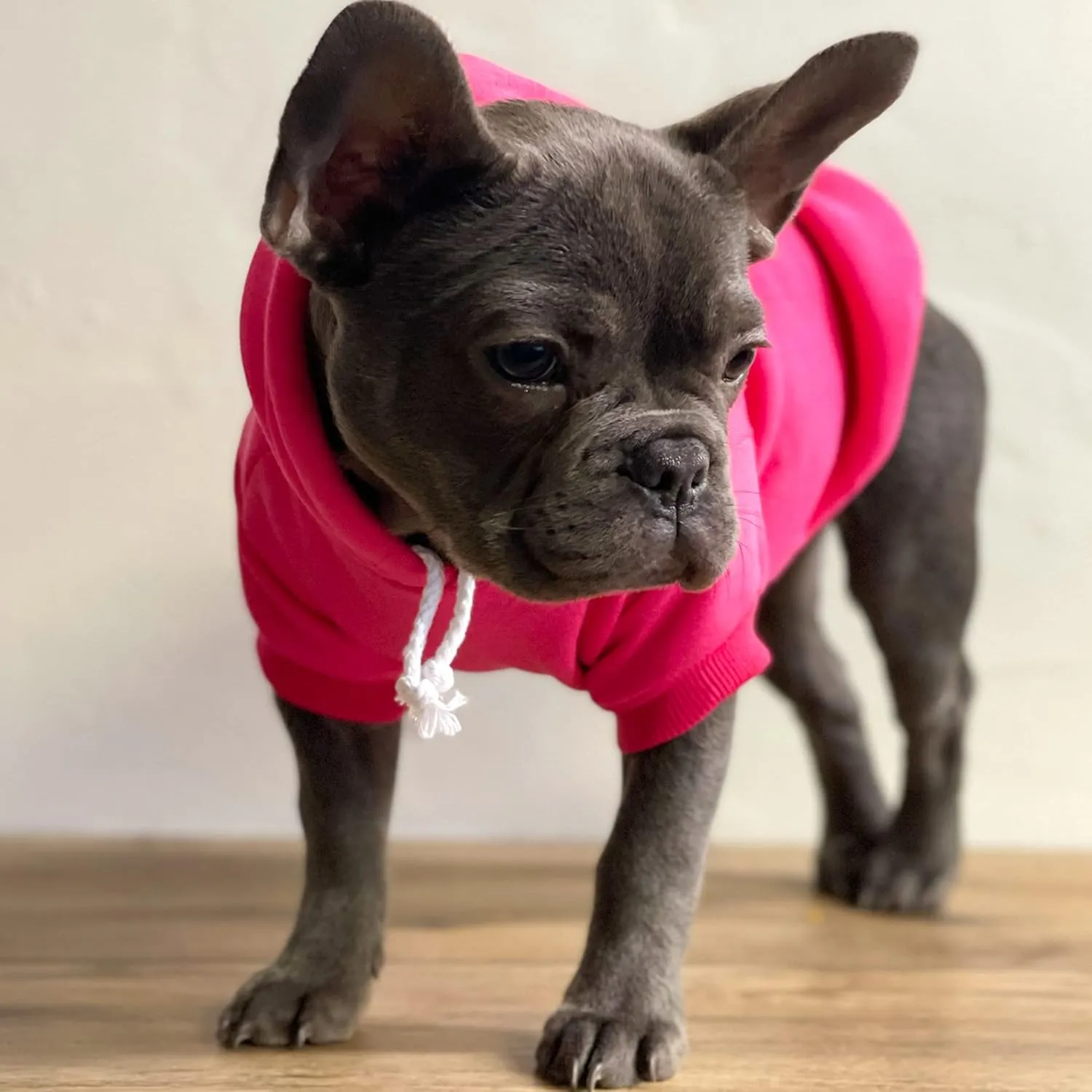 Free Kisses Dog Hoodie Fleece Lined Pullover Sweatshirt with Leash Hole (Royal Blue, X-Small 727)