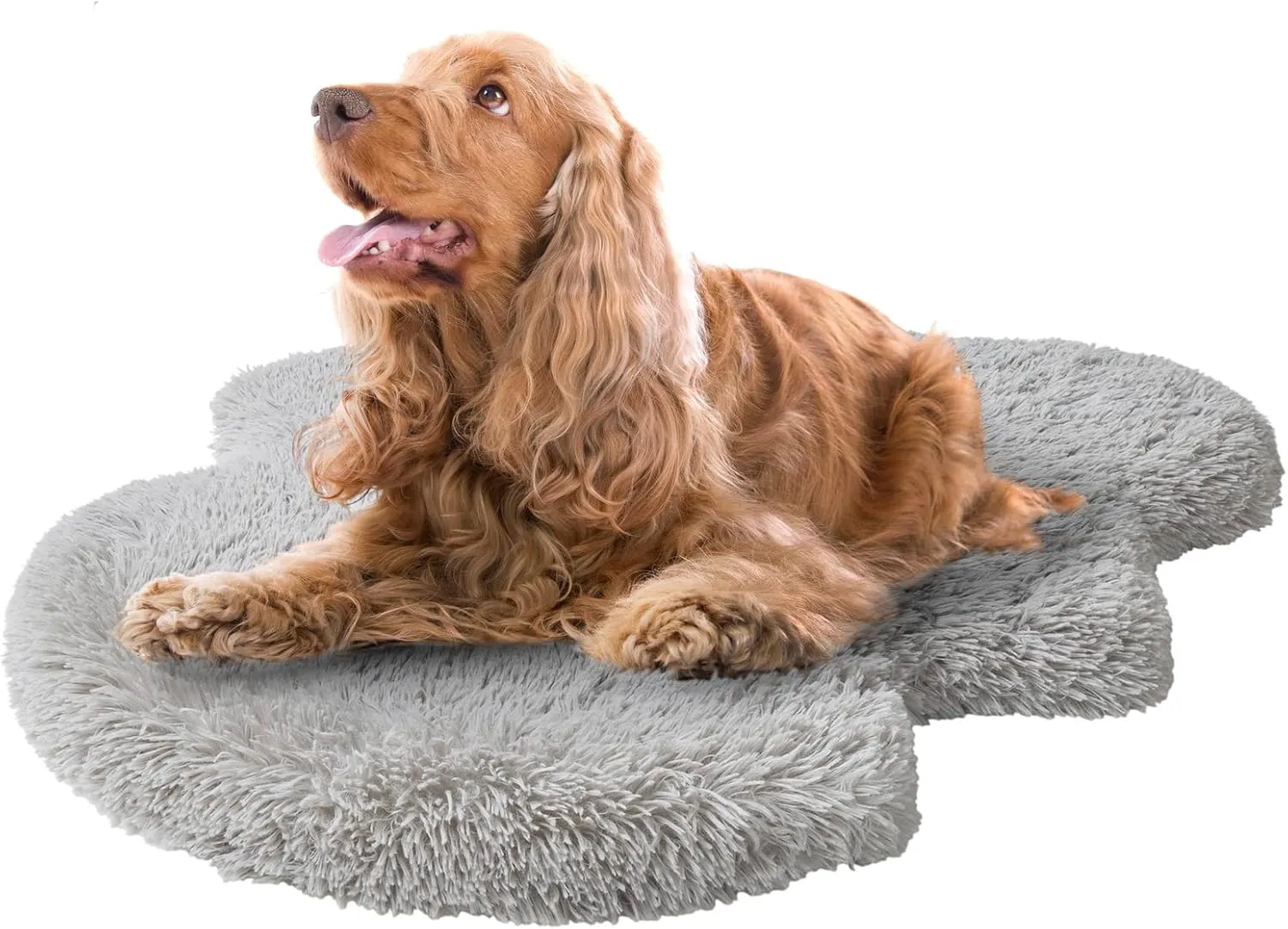 Friends Forever Faux Fur Pet Bed, Soft Shaggy Rug Mat for Dogs with Orthopedic Foam, Low Profile Dog Bed, Machine Washable Removable Cover, Non-Slip Bottom, Nala, 40x30