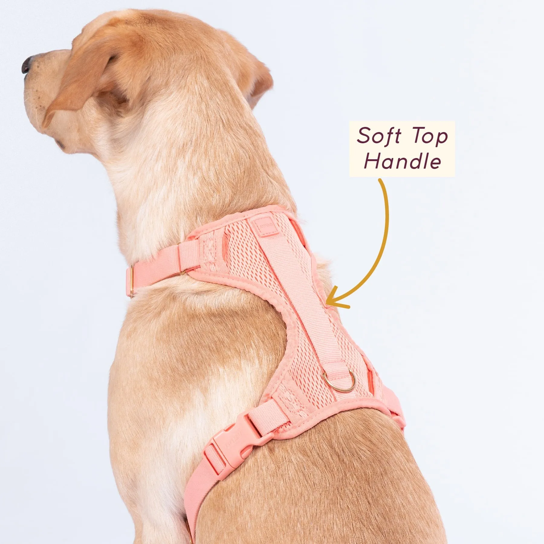 Huggie Harness