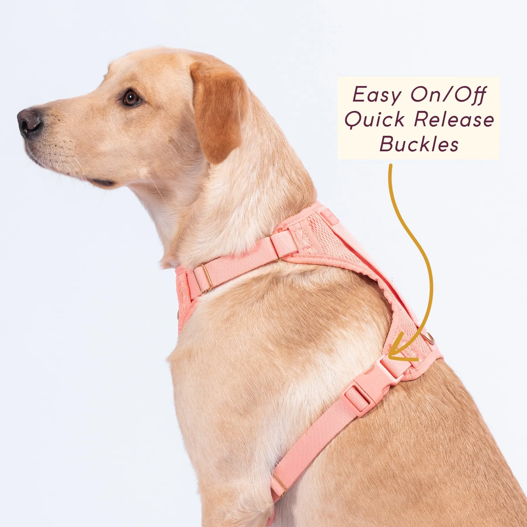 Huggie Harness