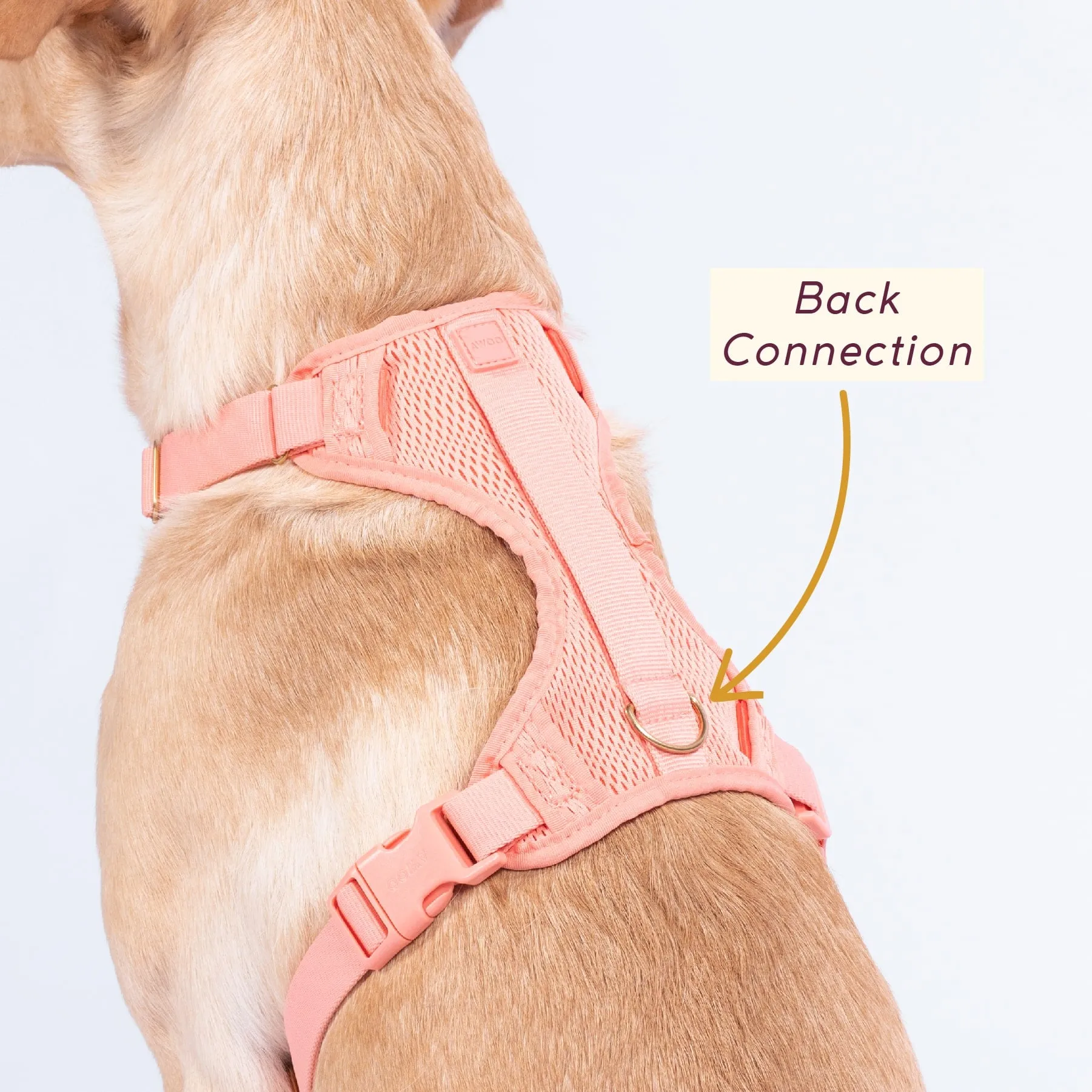 Huggie Harness