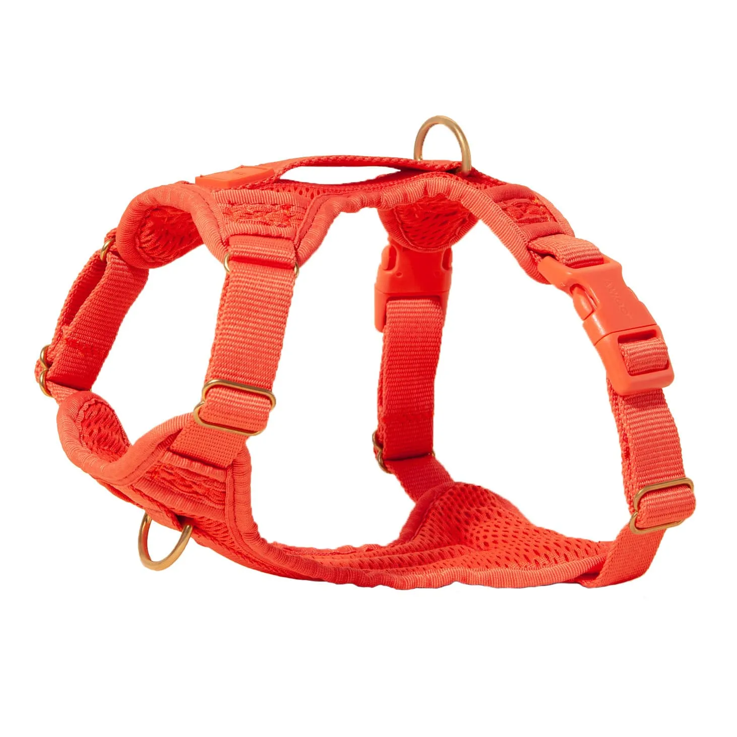 Huggie Harness