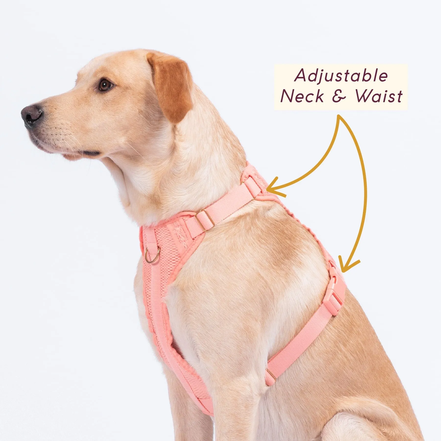 Huggie Harness