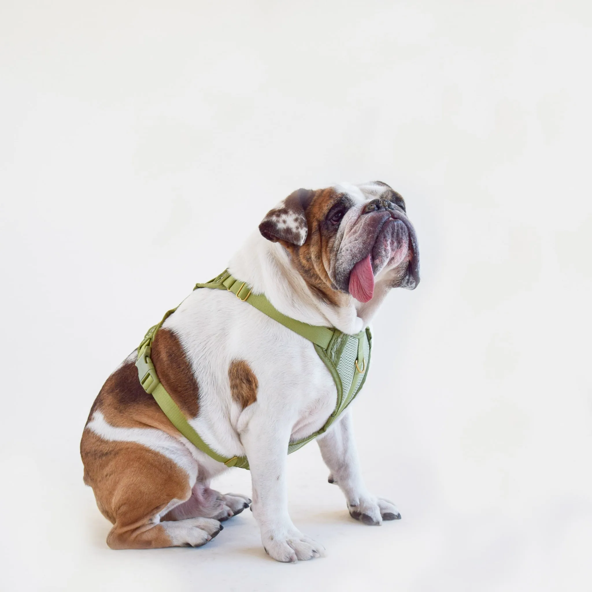 Huggie Harness