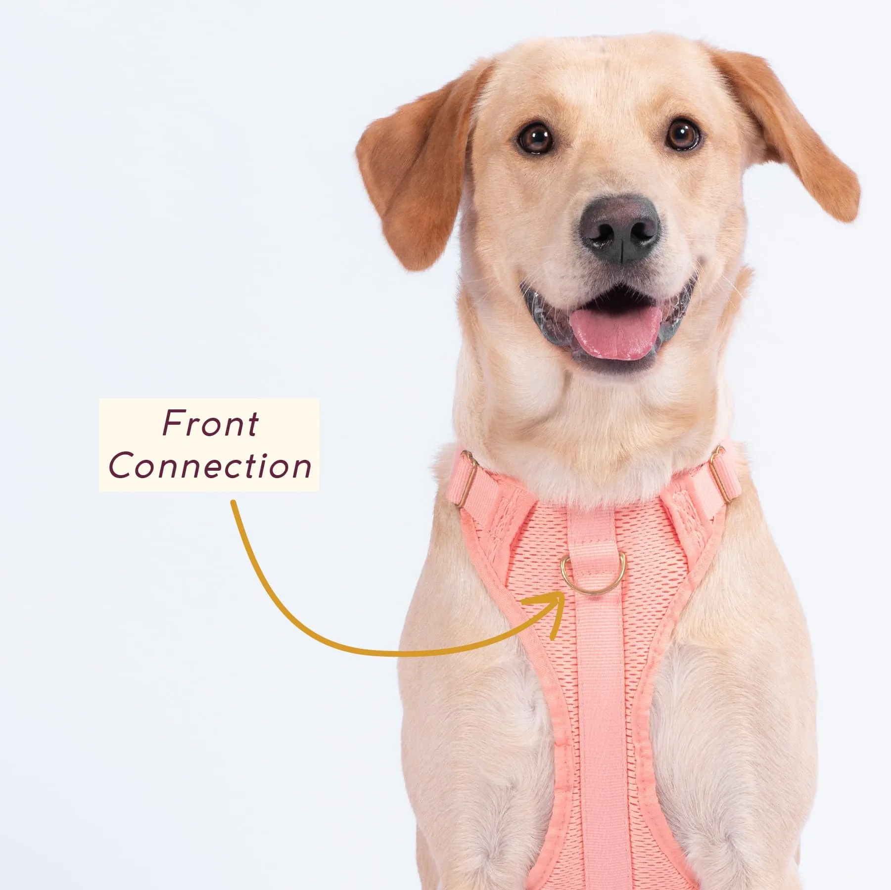 Huggie Harness