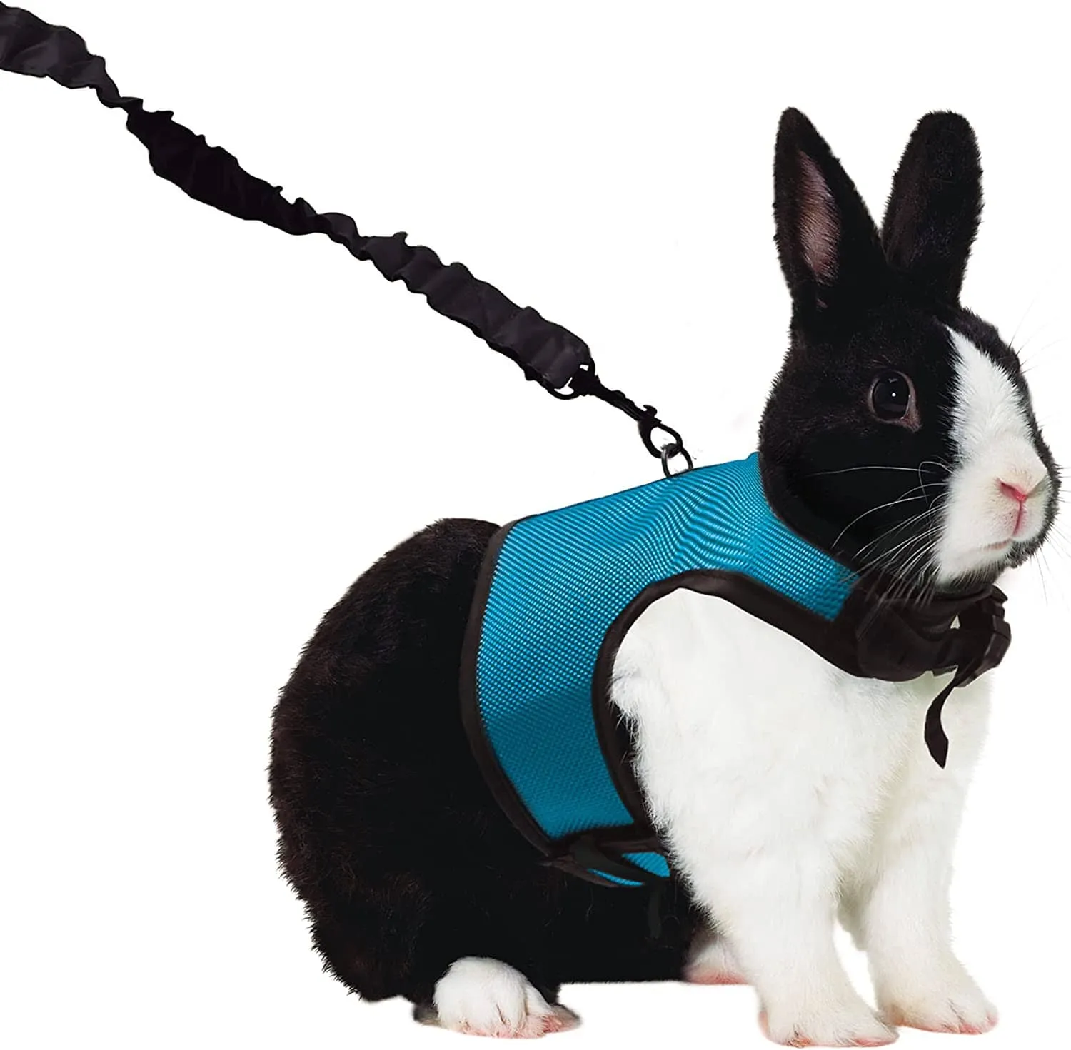 Kaytee Comfort Harness & Stretchy Leash Assorted - Extra Large