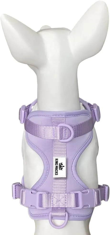 King Macks Dog Harness Set with Collar and Leash, Waste Bag Holder and Dirty Waste Bag Clip, Adjustable for Small/Medium/Large Dogs, Lightweight (Lavender, Small)