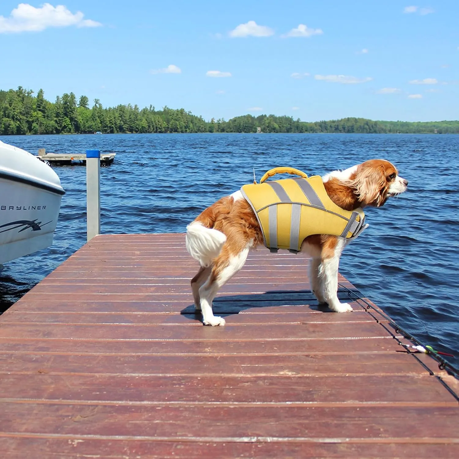 Kuoser Dog Life Jacket with Reflective Stripes, Adjustable High Visibility Vest Ripstop Lifesaver Pet Preserver Flotation Swimsuit for Small Medium and Large Dogs