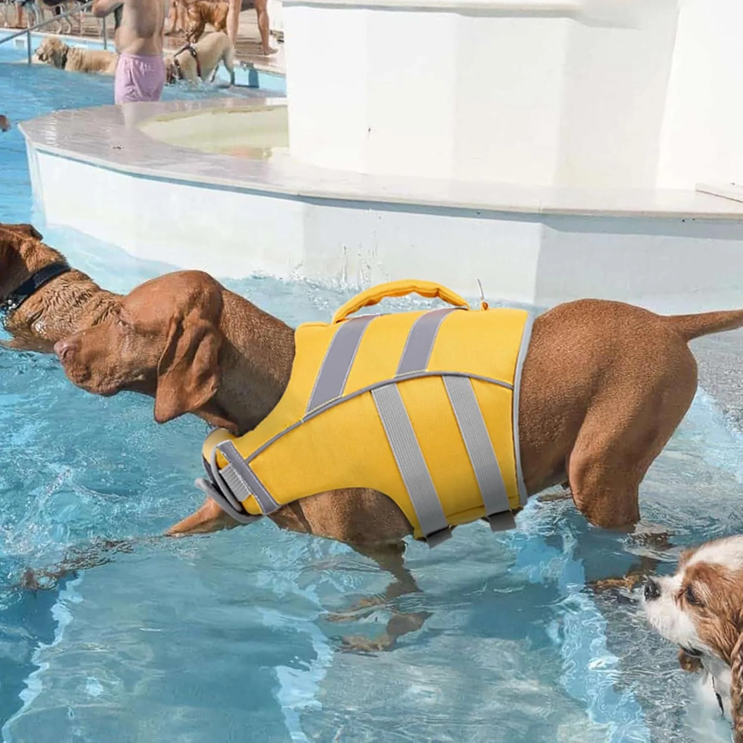 Kuoser Dog Life Jacket with Reflective Stripes, Adjustable High Visibility Vest Ripstop Lifesaver Pet Preserver Flotation Swimsuit for Small Medium and Large Dogs