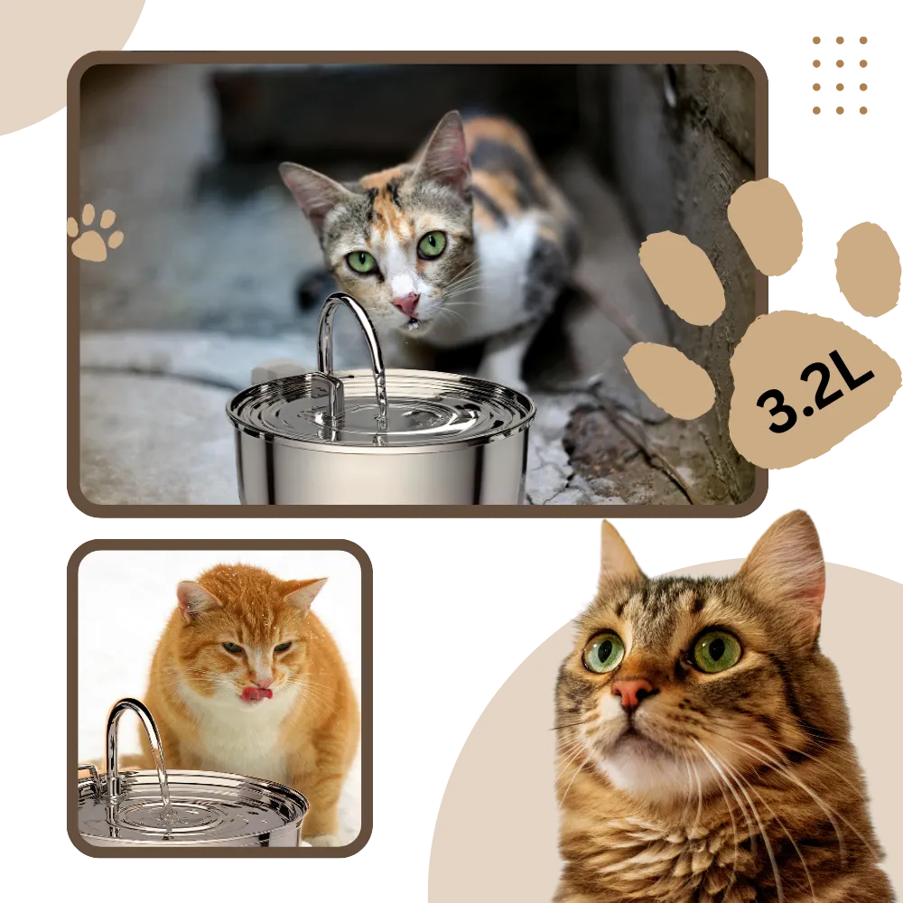 Large Capacity Cat Drinking Fountain