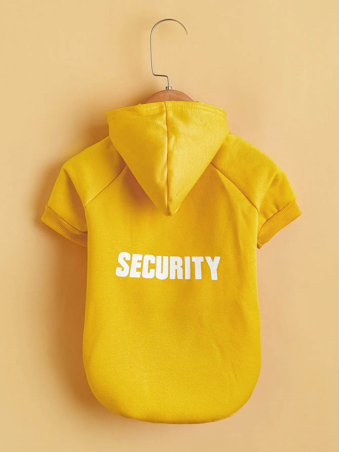 Letter Graphic Pet Hoodie