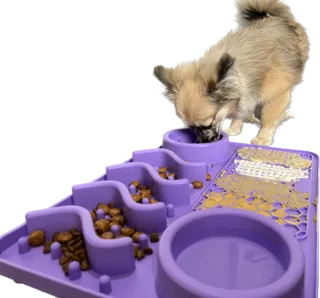 Life in the Outback's 4-in-1 Pet Slow Feeder Licking Mat 🐶🐱