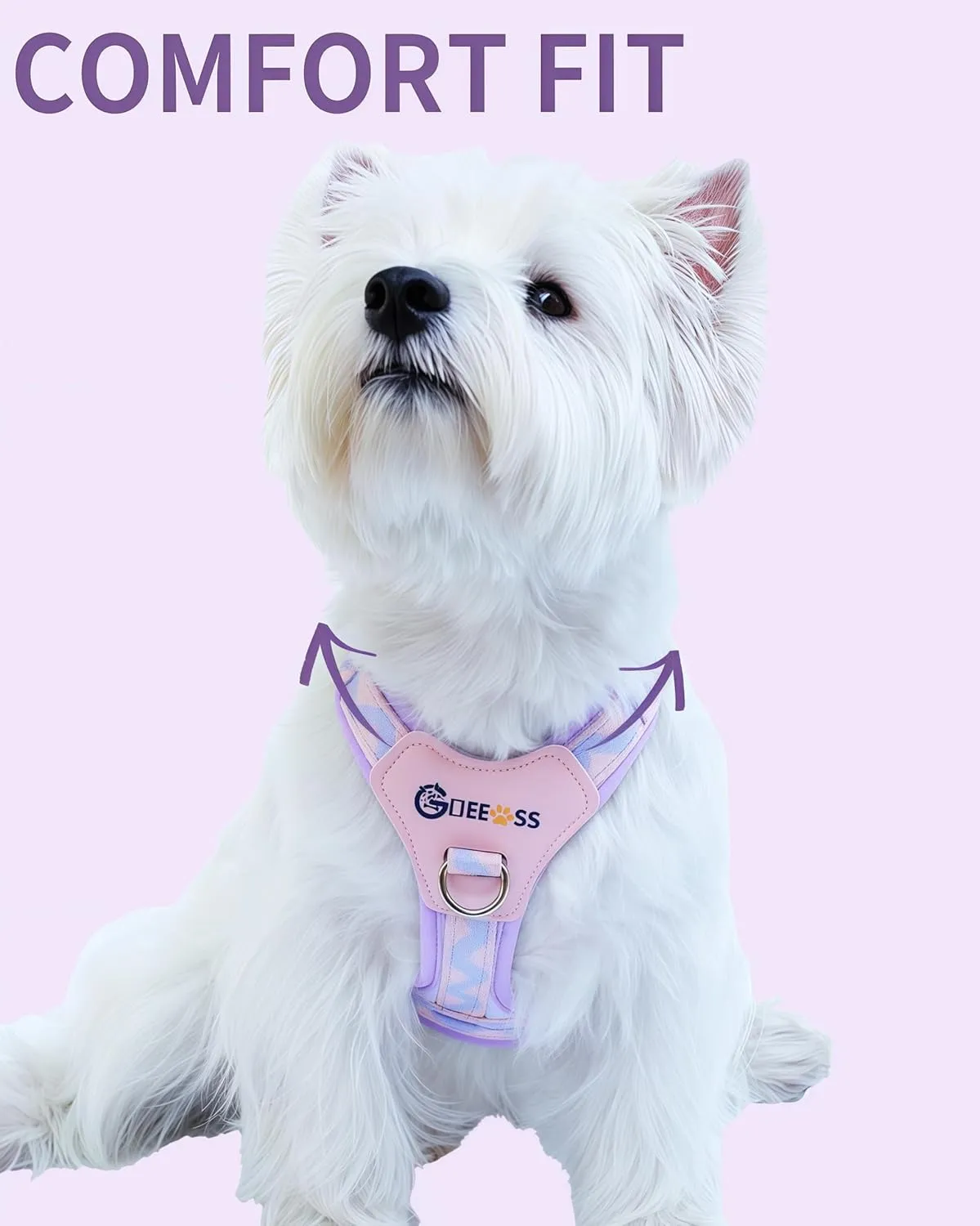 No Pull Dog Harness and Leash Set, Lightweight Frame No Choke Pet Harness, Double Buckle Adjustable Dog Vest for Small Medium Dogs Puppy (Purple, S)