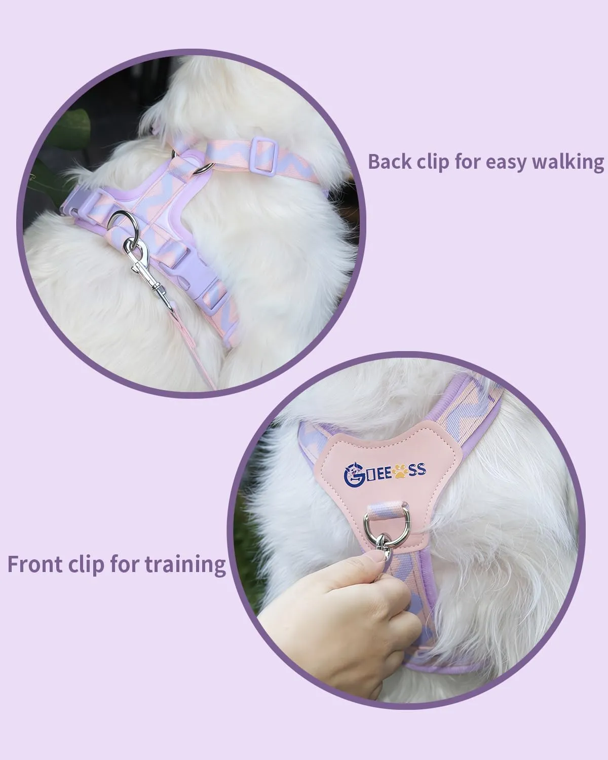 No Pull Dog Harness and Leash Set, Lightweight Frame No Choke Pet Harness, Double Buckle Adjustable Dog Vest for Small Medium Dogs Puppy (Purple, S)