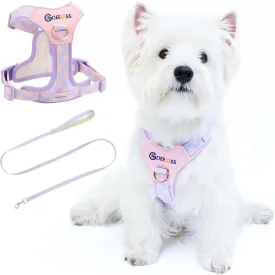 No Pull Dog Harness and Leash Set, Lightweight Frame No Choke Pet Harness, Double Buckle Adjustable Dog Vest for Small Medium Dogs Puppy (Purple, S)